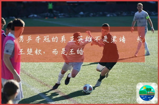 男乒夺冠的真正英雄不是梁靖崑或王楚钦，而是王皓